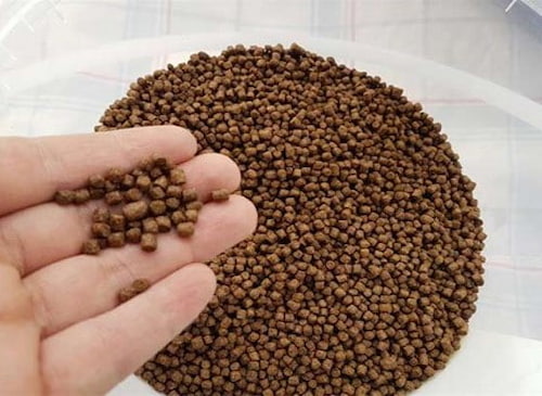 فروش خوراک ماهیان